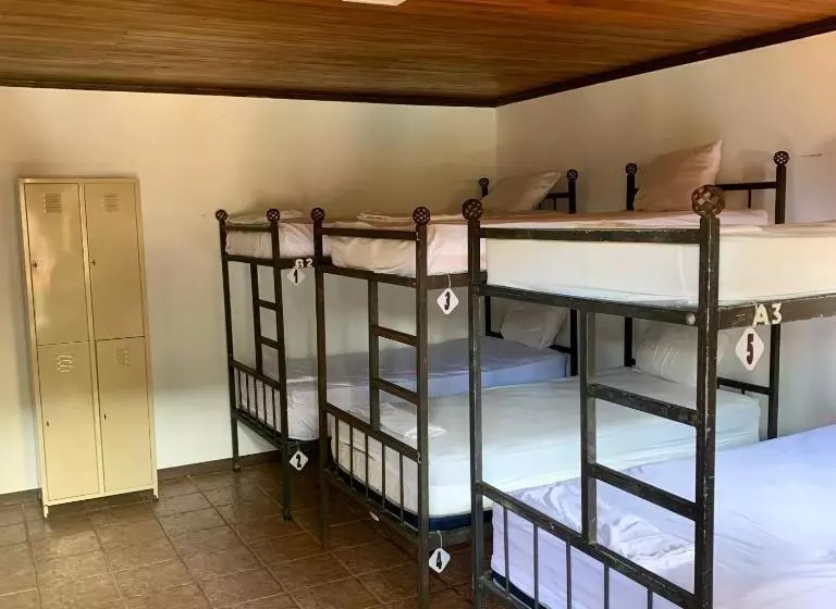 Отель Poshtel Arenal