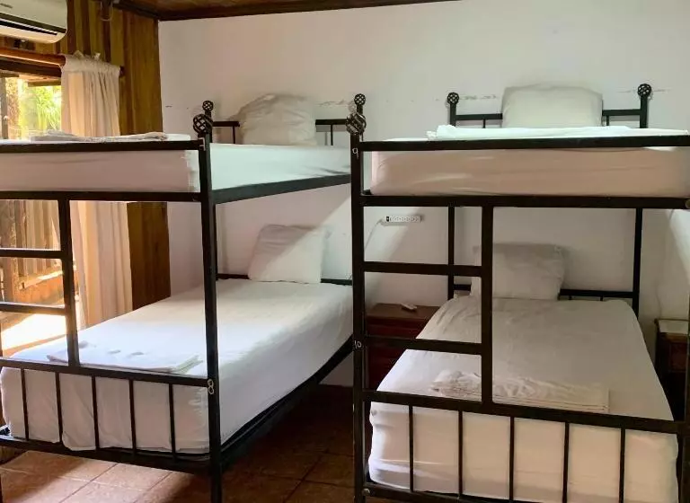 Отель Poshtel Arenal