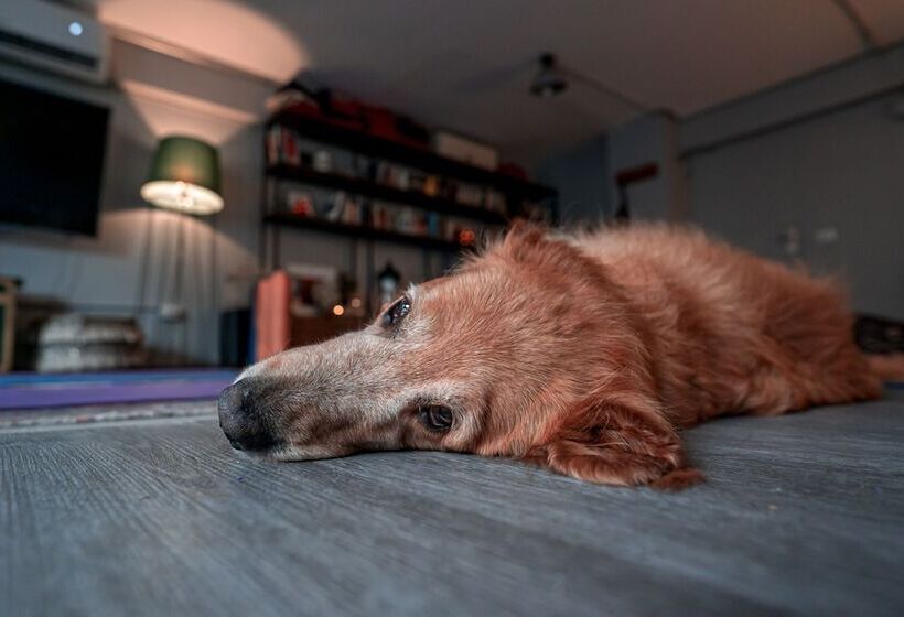 בית מלון כפרי Socialtel Nueva Cordoba Formerly Selina Nueva Cordoba