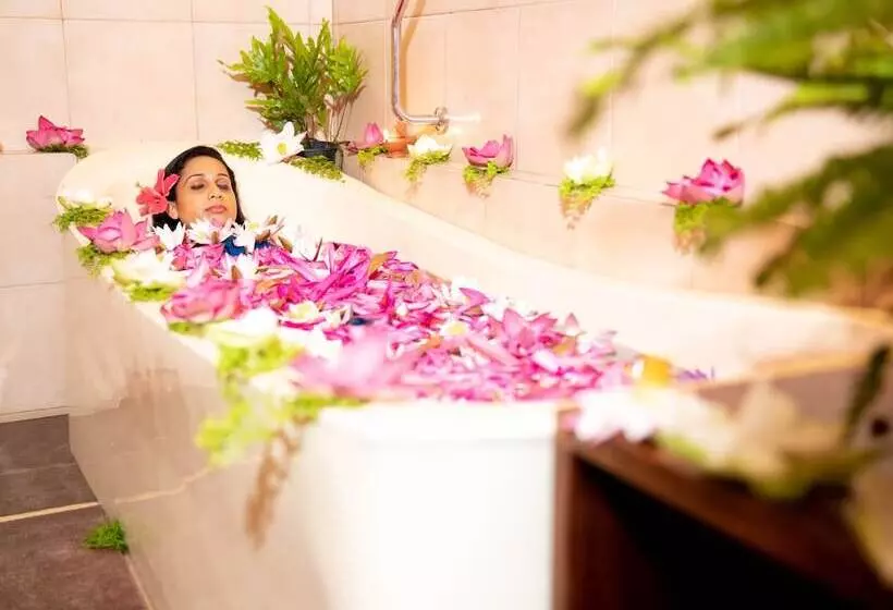 酒店 Ayurveda Spring Of Life