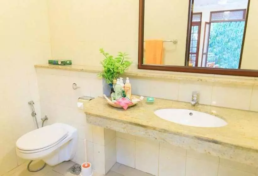 酒店 Ayurveda Spring Of Life