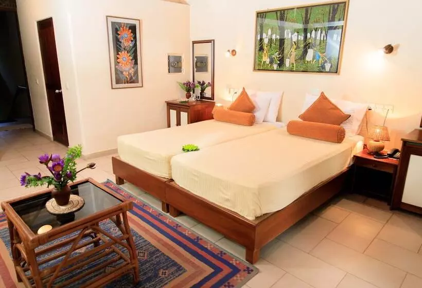 酒店 Ayurveda Spring Of Life