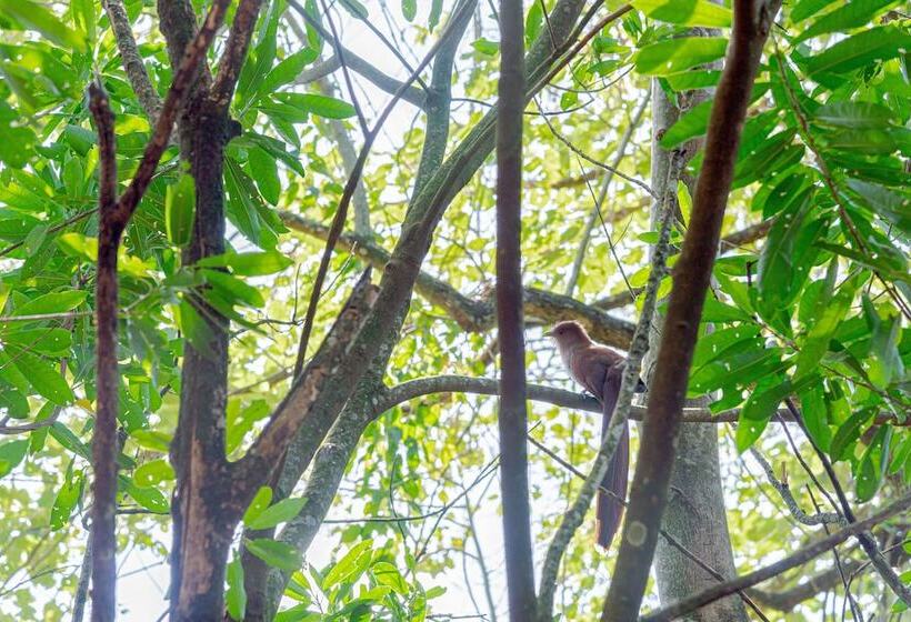 فندق Village Cataratas