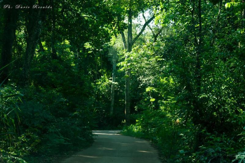 فندق Village Cataratas