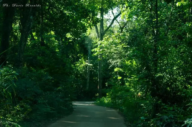 فندق Village Cataratas