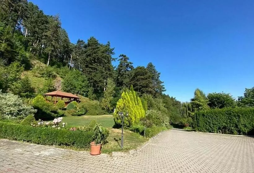 هتل Bellavista Brasov