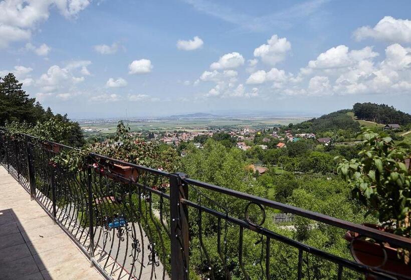 בית מלון כפרי Bellavista Brasov