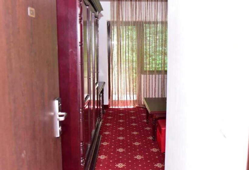 בית מלון כפרי Bellavista Brasov