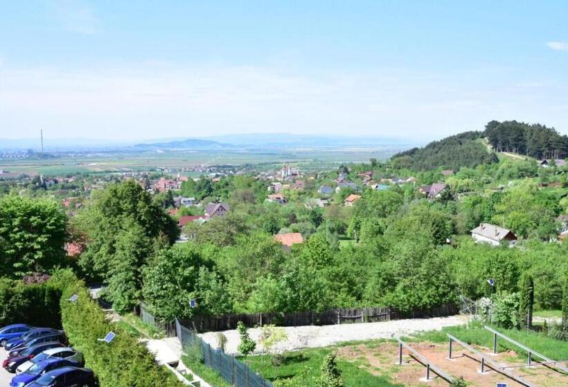 בית מלון כפרי Bellavista Brasov