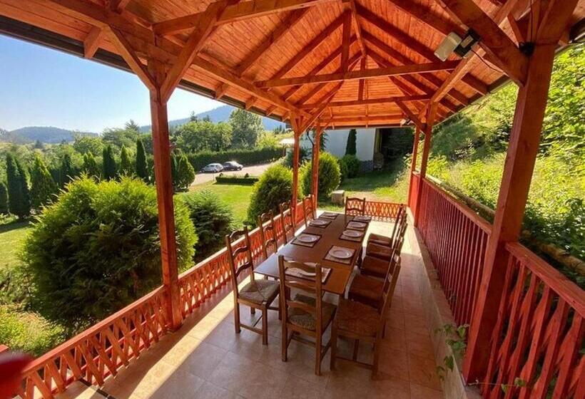 בית מלון כפרי Bellavista Brasov