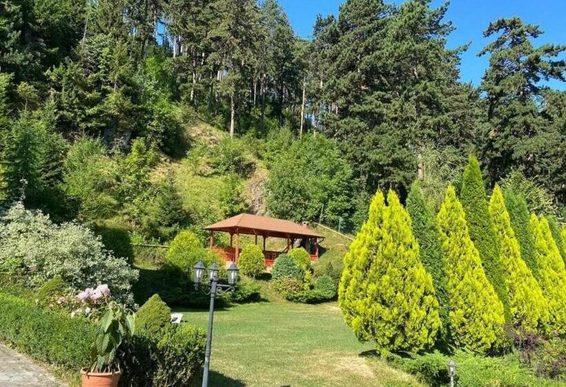 בית מלון כפרי Bellavista Brasov