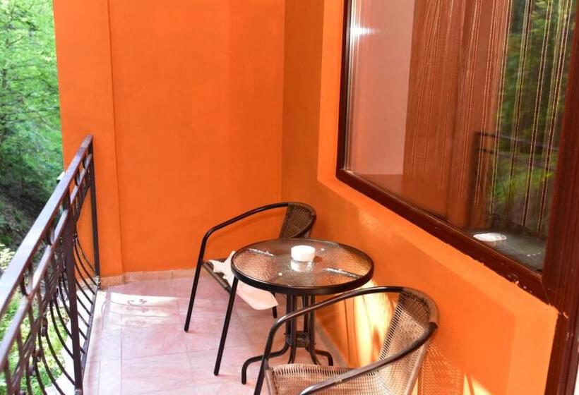 בית מלון כפרי Bellavista Brasov