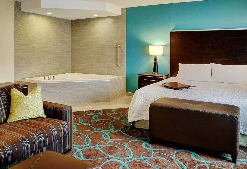 酒店 Hampton Inn By Hilton Winnipeg Airport/polo Park