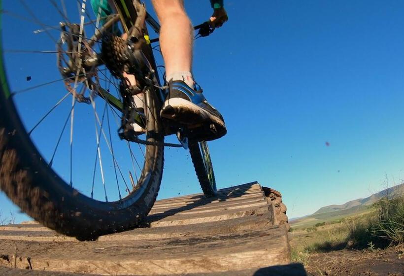 בית מלון כפרי Tala Game Reserve