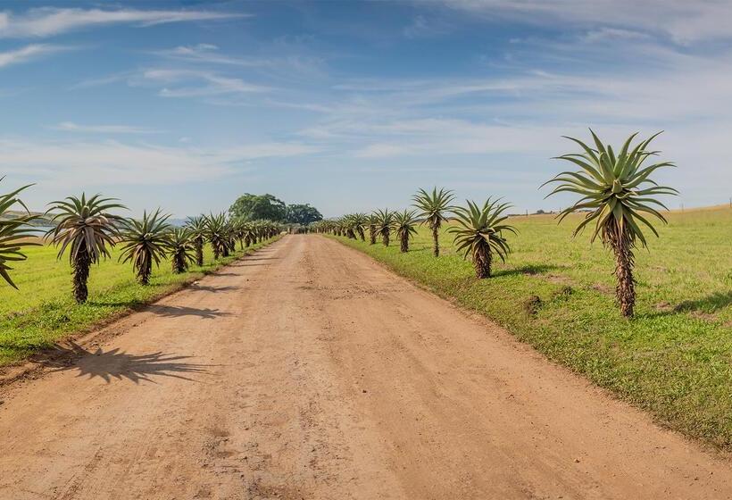 בית מלון כפרי Tala Game Reserve