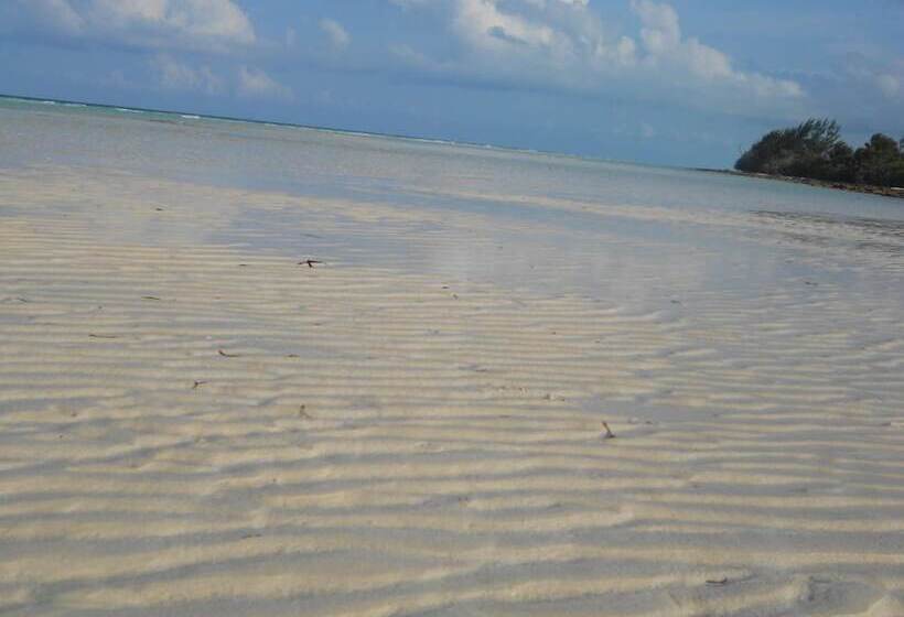 هتل Nathan S Lodge