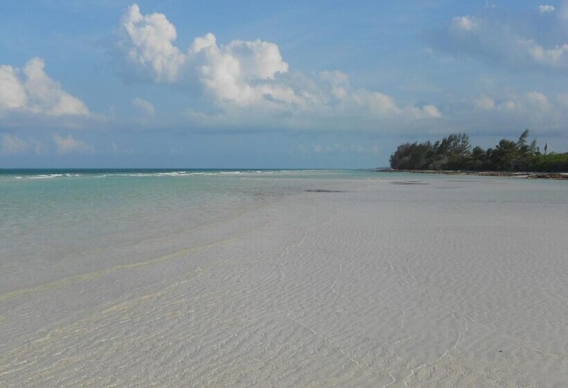 هتل Nathan S Lodge