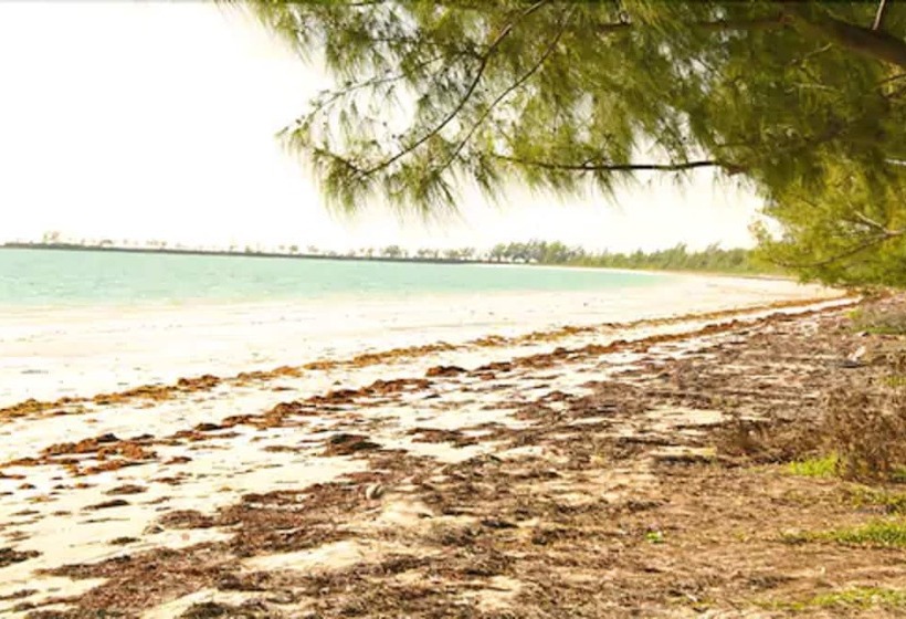 هتل Nathan S Lodge