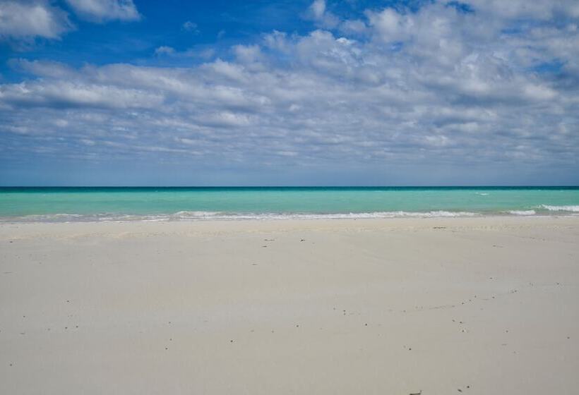 هتل Nathan S Lodge