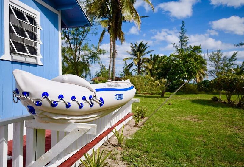 هتل Nathan S Lodge