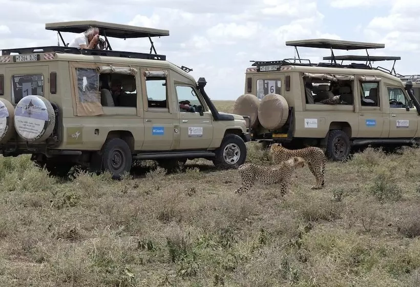 هتل Osinon Camps & Lodges