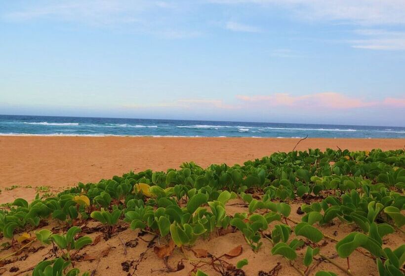 בית מלון כפרי The Blue Whale