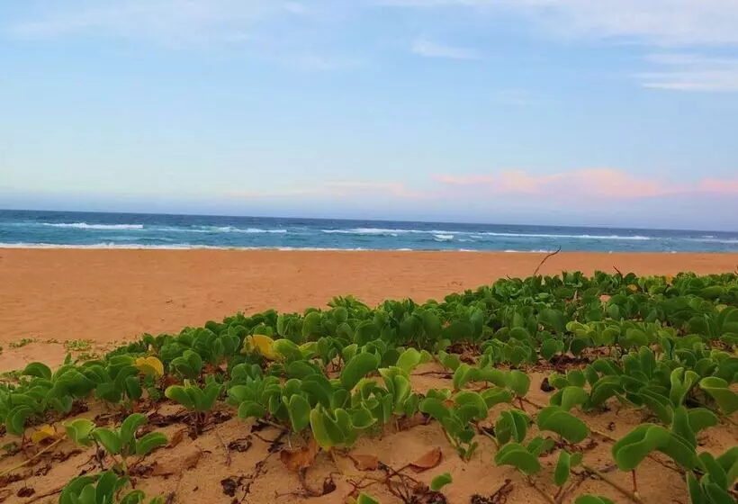 Hotelli The Blue Whale