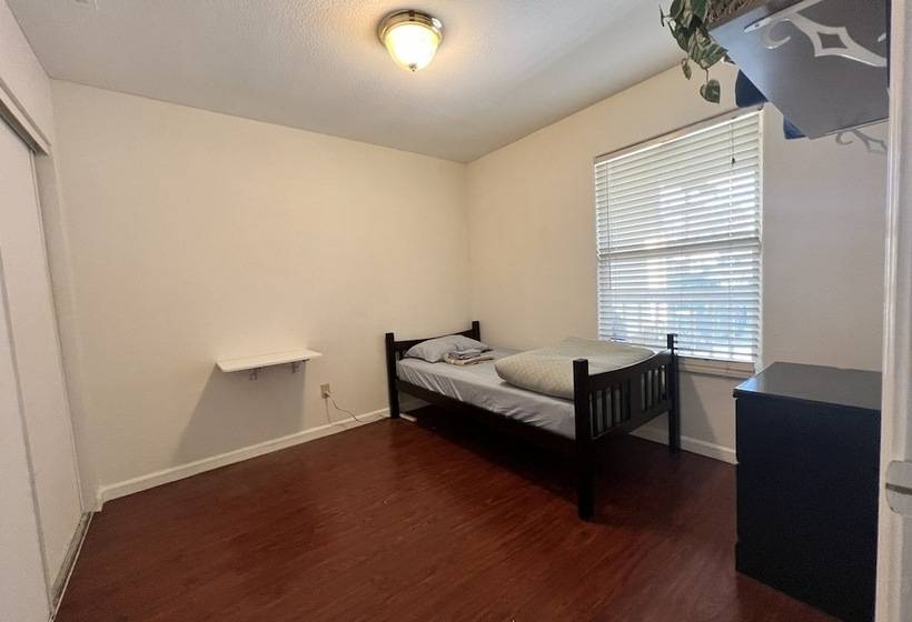 هاستل Whole Family Wholestyl