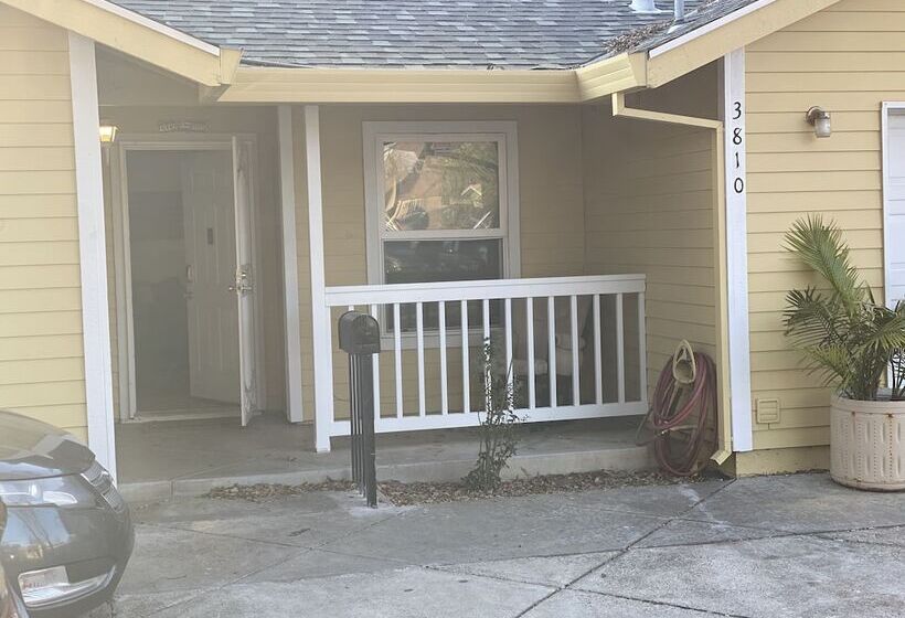 هاستل Whole Family Wholestyl