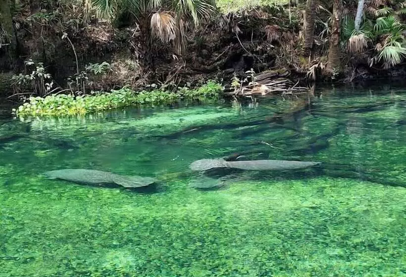 Aamiaismajoitus (B&B) Cabin On The Lake