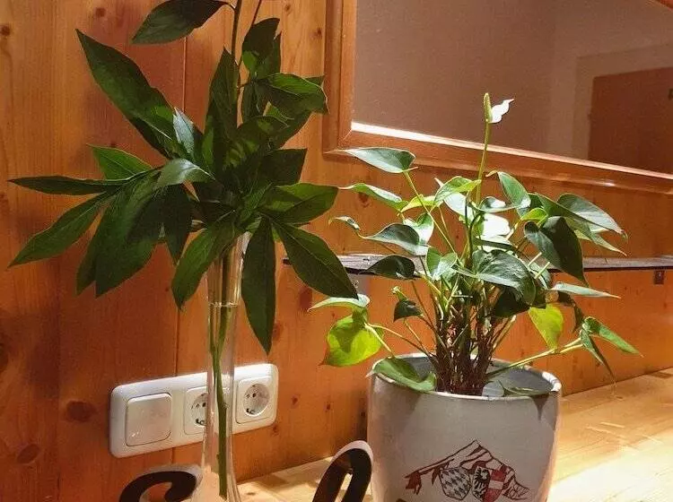 ベッドアンドブレックファースト Gästehaus Alpenkranz