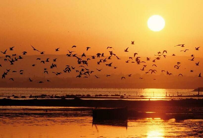 ベッドアンドブレックファースト Maison Antonia