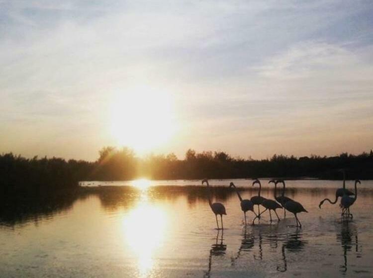 ベッドアンドブレックファースト Maison Antonia