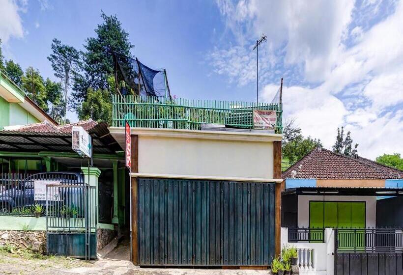 هتل Spot On 90879 Ara Predator Funpark