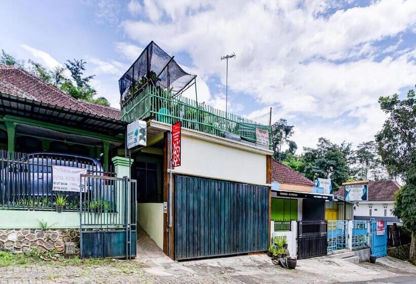 هتل Spot On 90879 Ara Predator Funpark