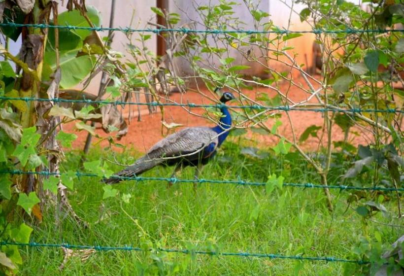 Pension Meegahapokuna Resort