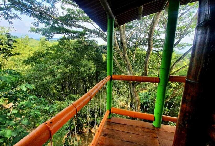 Pension Room In Lodge   Family Cabin With River View