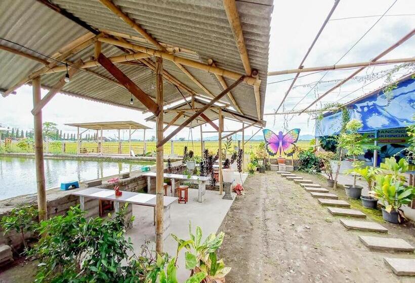 酒店 Citra Green House Syariah Near Universitas Tulungagung