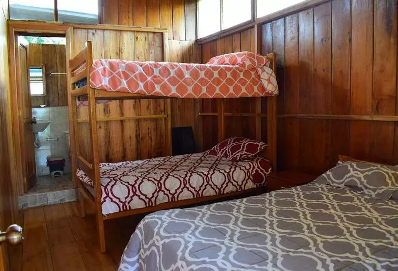 ペンション Hostal Los Farolitos
