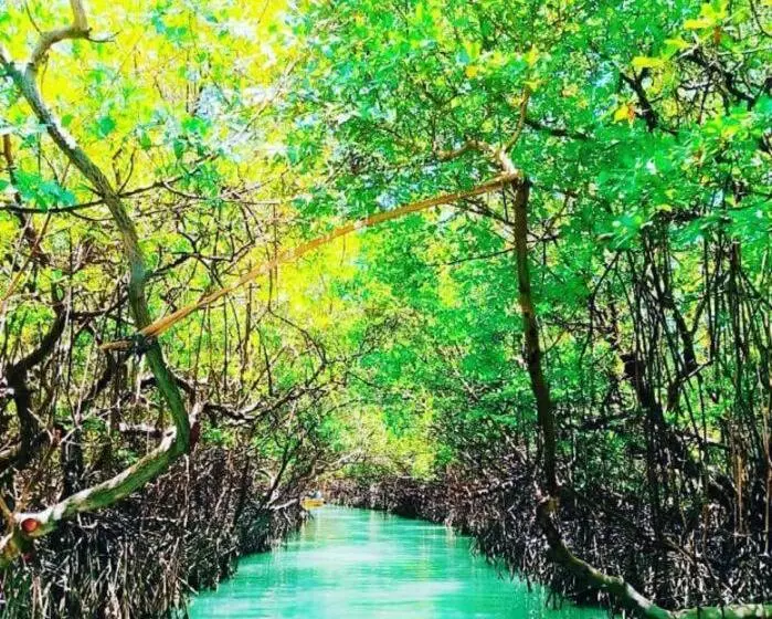 Majatalo Pousada Recanto Das Flores