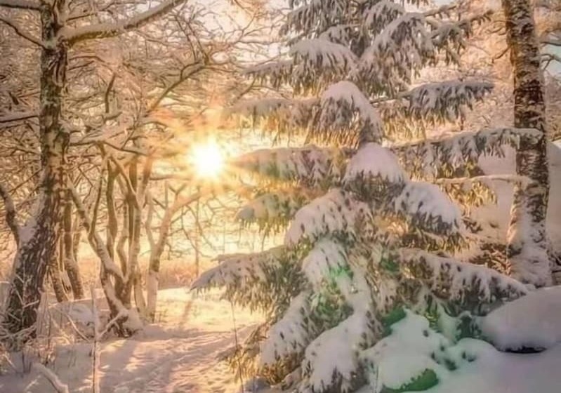 住宿加早餐 Chalet Esprit