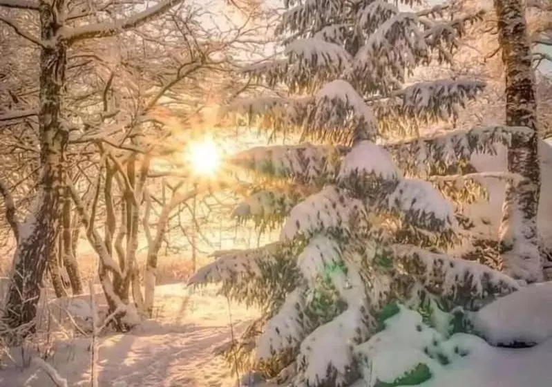 ベッドアンドブレックファースト Chalet Esprit