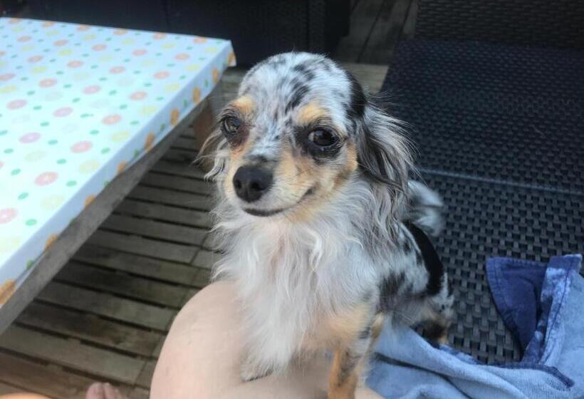 住宿加早餐 Chalet Esprit