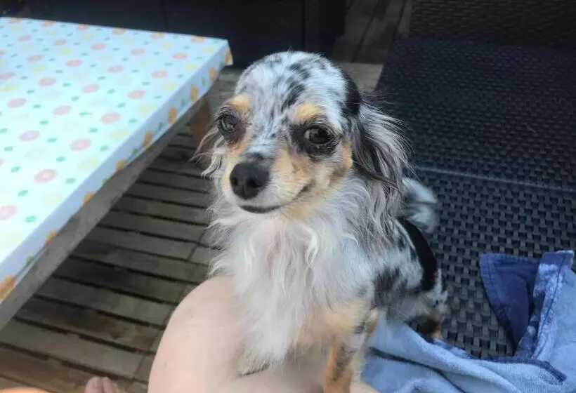 ベッドアンドブレックファースト Chalet Esprit