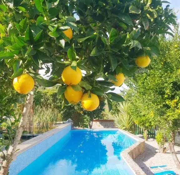 ベッドアンドブレックファースト The Far End Surf House Breakfast Included Eco Surf Villa 5 Km From Beach