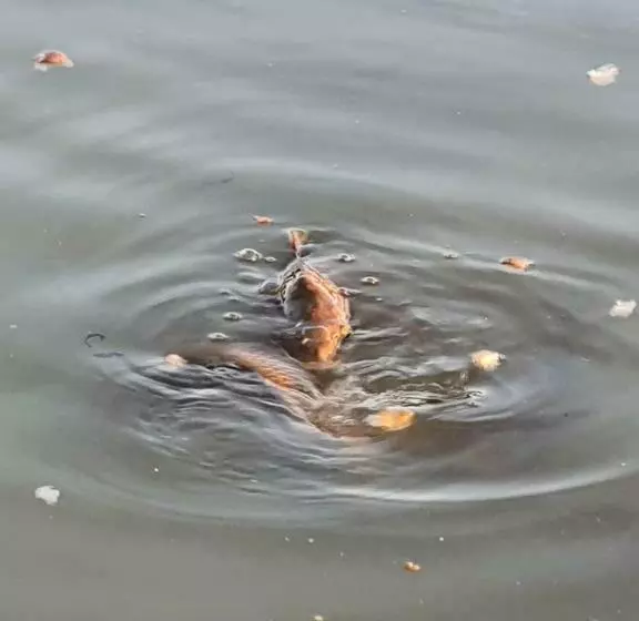 Hotelli Cheverny La Vie Est Belle