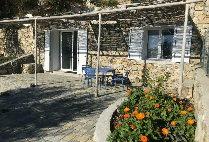 Panzió Belvedere20guesthouse