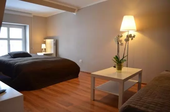 Apartamenty Poznan Apartament Centrum