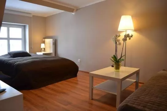 Apartamenty Poznan Apartament Centrum