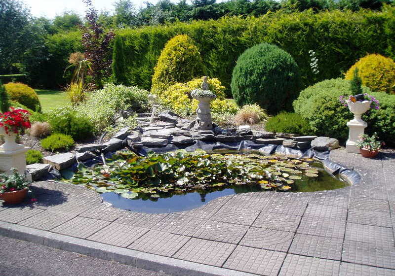 Bed & Breakfast Meadow View